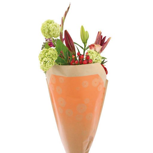 Bright Sleeve - 50x44x12cm - Packed by 50