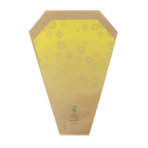 Bright Sleeve - 50x44x12cm - Packed by 50