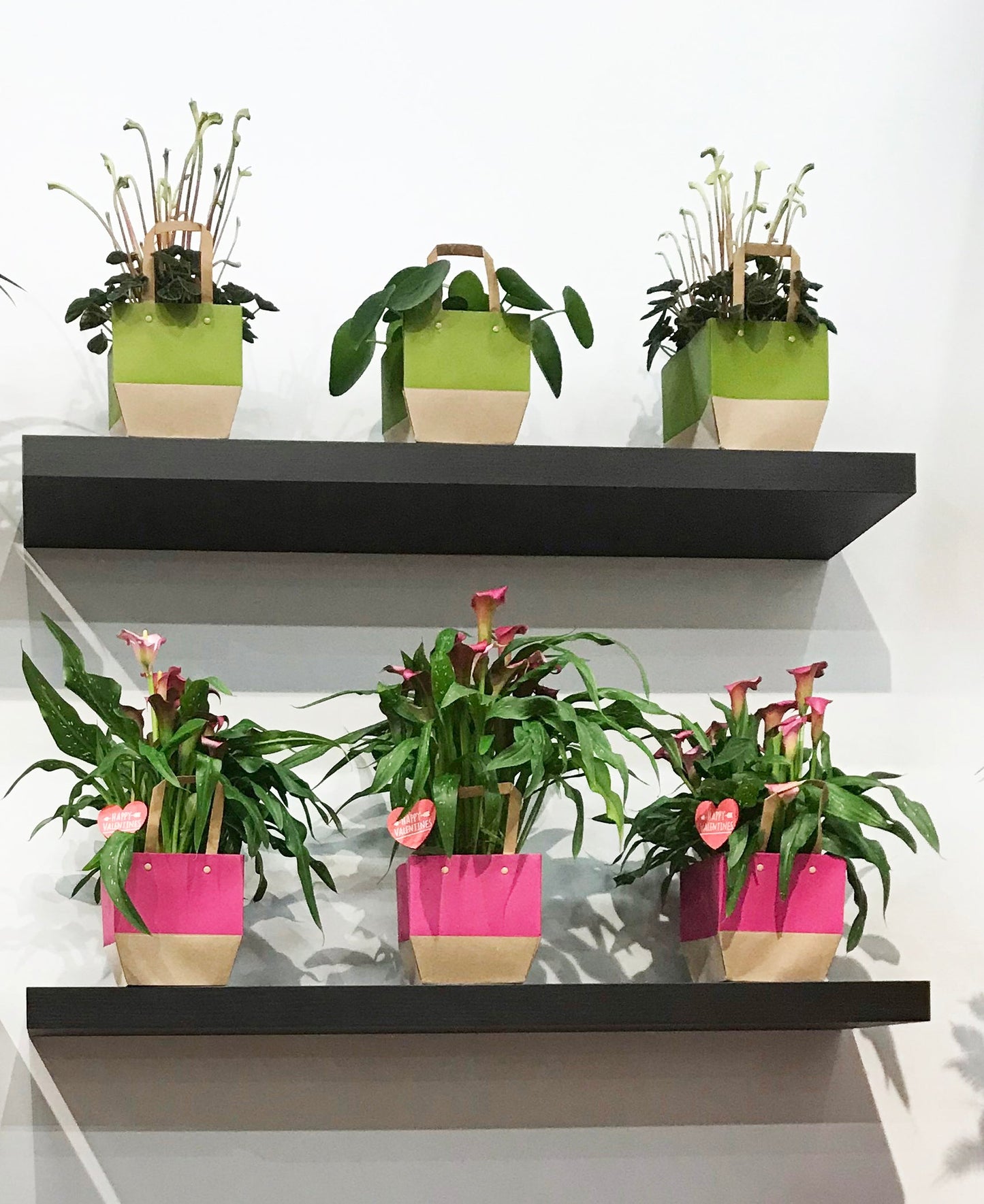 Tailor Bag - 10cm - Packed by 10