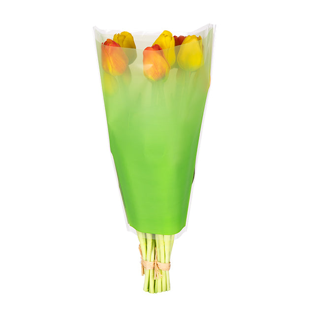 Usual Sleeve 50x30x10cm Green