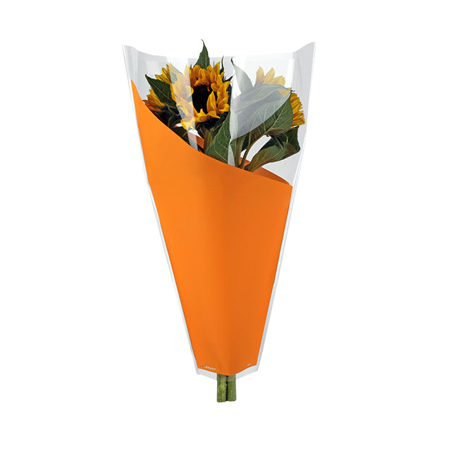 Sleeve Orange