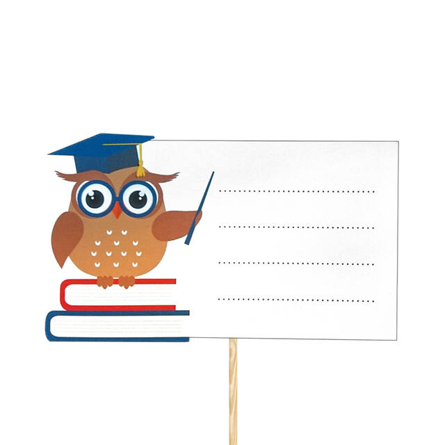 Owl Teacher Pick - 50cm