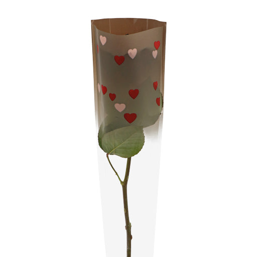 All Hearts Single Rose Sleeve 