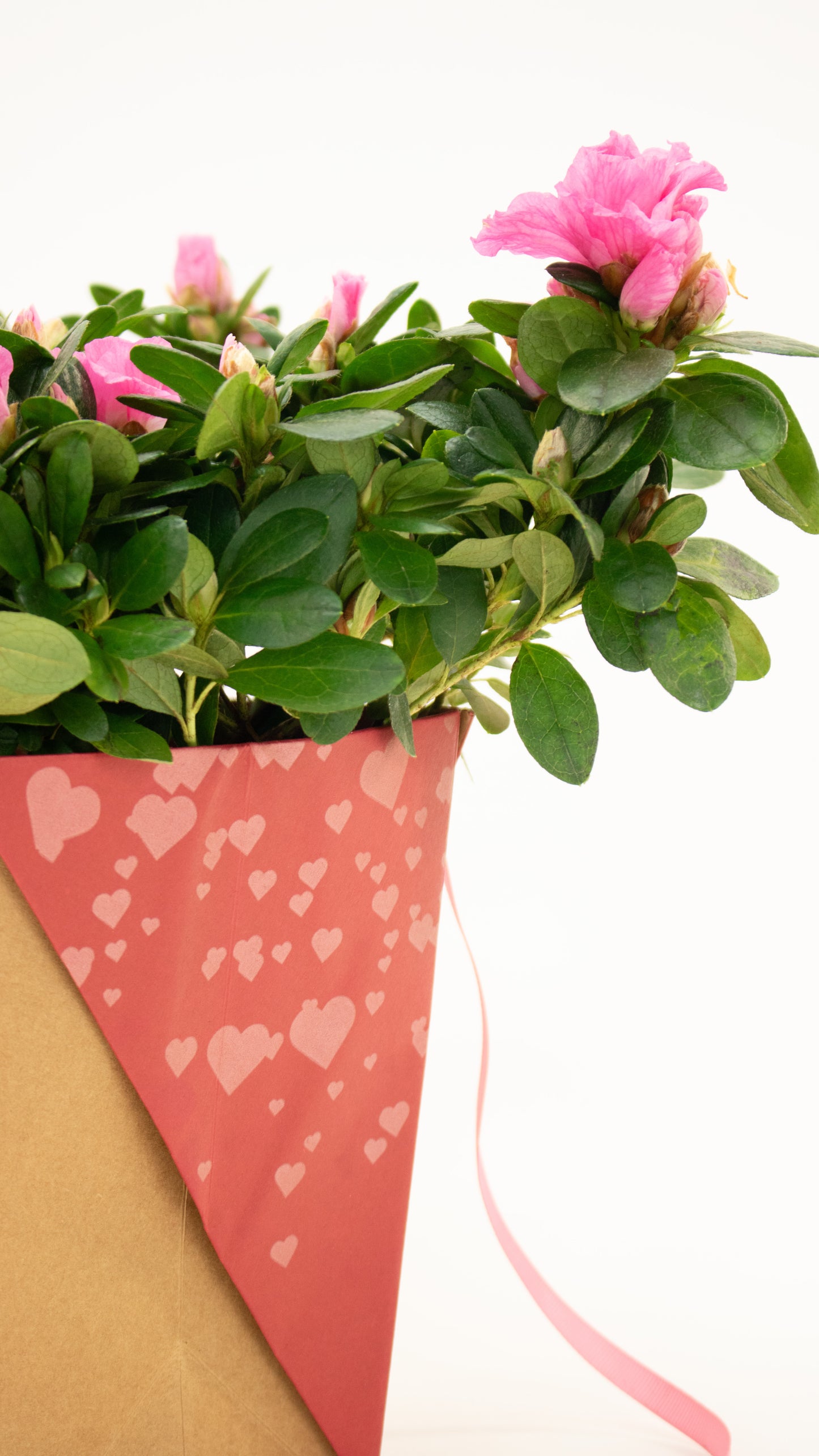 Dulce Amor Vase Bag Close up with flowers