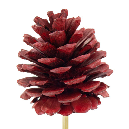 Pinecone Pick Red