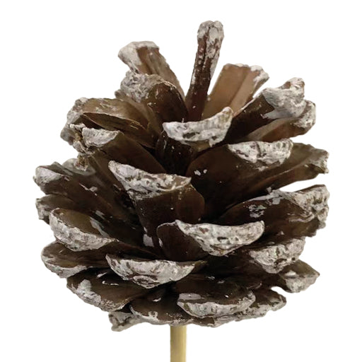 Pinecone Pick White