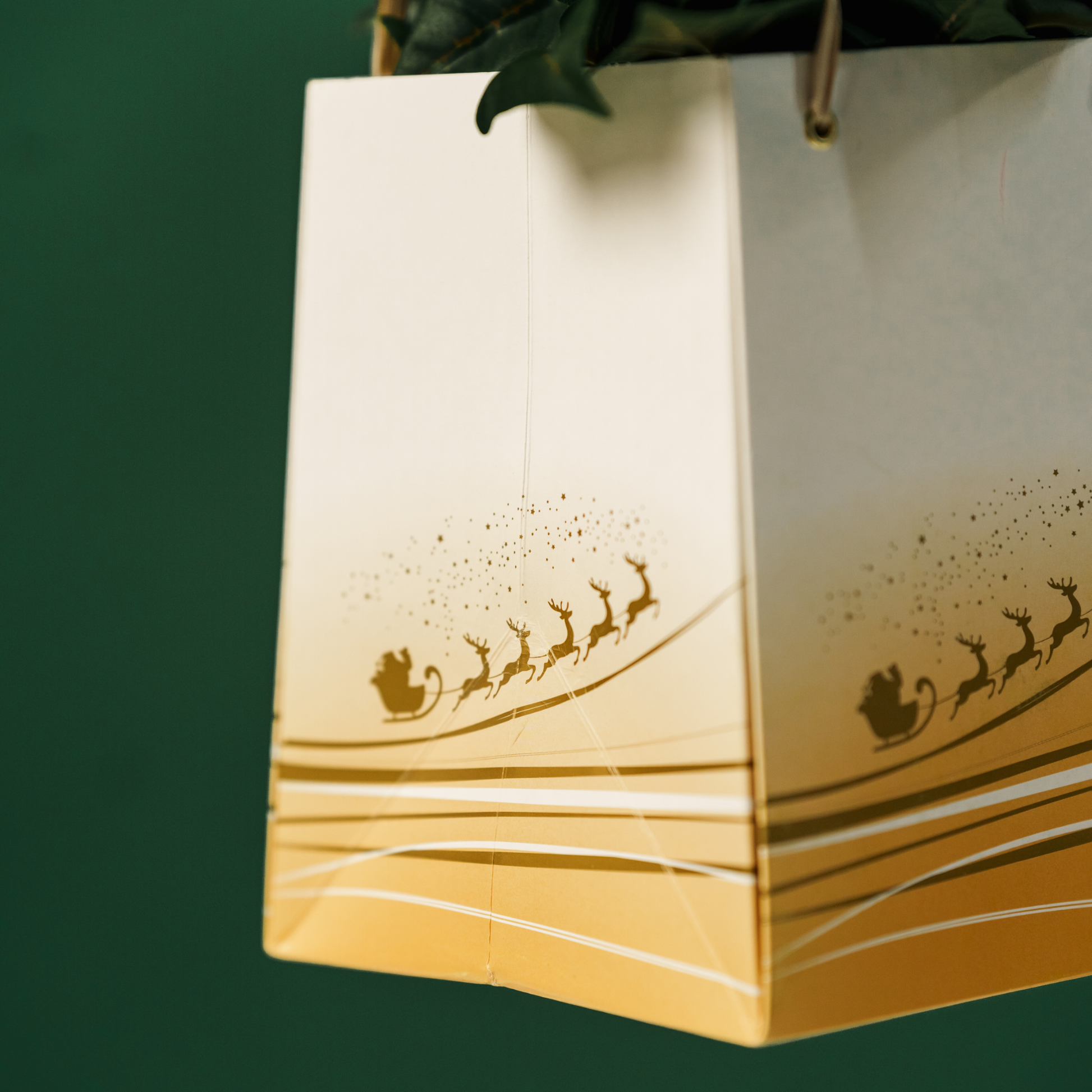 Oh My Deer Bag White Close Up